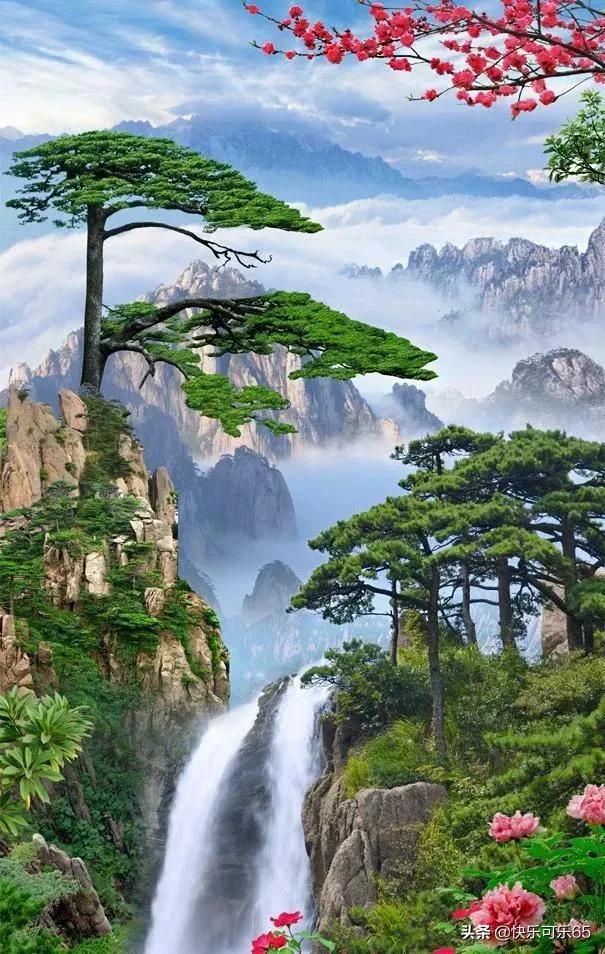 救援紫色生物