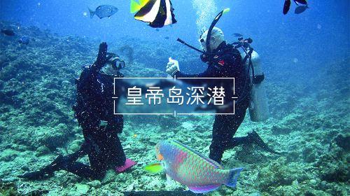 倪妮、文章等亮相《如梦之梦》专属版上海发布会